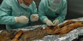 متحدرون أحياء يظهرون من "أوتزي" القتيل قبل 5300 عام