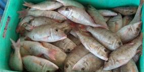 الاحتفال بالمحصول الاول من مشروع تربية الاسماك في جنين