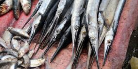 أفضل 5 وجهات سياحية لعشاق الأطعمة البحرية في العالم