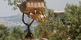 الاحتلال يجرف أراضي ويقتلع مئات الأشجار غرب الخليل ويهدم بئري مياه وسلاسل حجرية