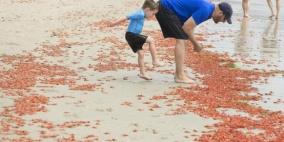 الأمواج تجرف سرطان البحر لشواطئ كاليفورنيا