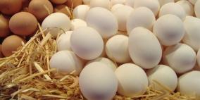 بيض الدجاج يساعد في تخفيض الوزن
