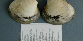 كائن ولد عام سقوط غرناطة وقتله العلماء منذ 7 سنوات