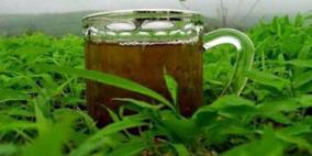 دراسة: الشاي الأخضر والأسماك السلاح الفعال لتأخير الشيخوخة