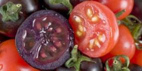 نقص الغذاء يدفع العلماء لزراعة القمر