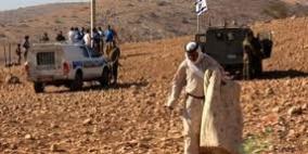 الاحتلال يصادر جملا لمواطن شرق بيت لحم بحجة دخوله منطقة عسكرية