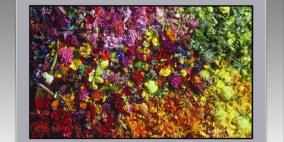 أول شاشة بقياس 17 بوصة بدقة 8كي