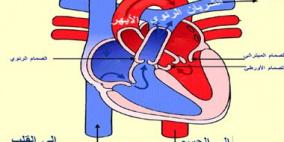 تلوث الهواء يزيد من خطر الإصابة بالنوبات القلبية