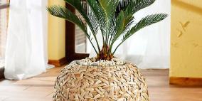 النباتات في العمل تجعل الموظفين أسعد