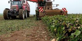 تحذير من اندثار الزراعة في العالم بسبب تآكل التربة