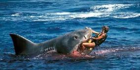 قرش هائج يبتلع غواصاً في استراليا