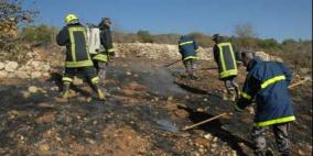 حريق هائل لاكثر من 200 شجرة زيتون جنوب جنين