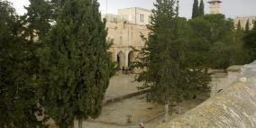 سقوط أربع أشجار في محيط الأقصى بسبب الأمطار وسرعة الرياح