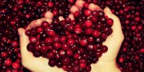 إكتشفوا أسرار و فوائد التوت البرّي