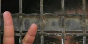 11 أسيرا مضربون عن الطعام يعانون أوضاعا مأساوية في "الجلمة"