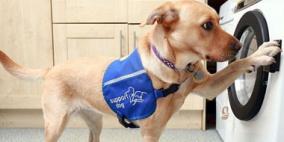 غسالة لذوى الاحتياجات الخاصة يمكن للكلاب تشغيلها