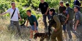 مستوطنون يزرعون ارضا في بلدة الخضر تمهيدا لمصادرتها