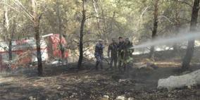 جنين: احتراق عشرات الدونمات المزروعة بالأشجار الحرجية