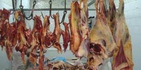 الشرطة وبلدية طولكرم تضبطان 400 كغم من اللحوم الفاسدة