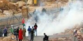 اصابة مواطن بجروح والعشرات بالاختناق في مسيرة بلعين