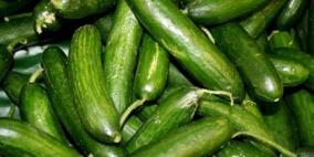 الزراعة الإسرائيلية تعفي الخيار والكوسا الأردني والتركي من الرسوم