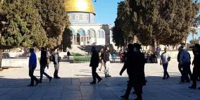 مستوطنون يستأنفون اقتحاماتهم للأقصى