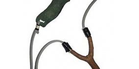 سجن رجل قلع عين هرة بمرجام