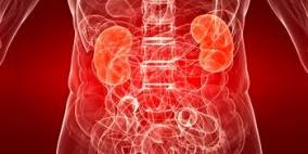 ضعف الكلى يرفع من مخاطر الإصابة بالسرطان