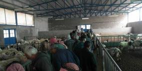 "العمل الزراعي" يطلق برنامج تبادل الخبرات بين المزارعين