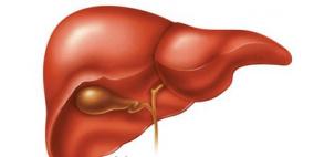 المسكنات تؤدي إلى تدمير خلايا الكبد وارتفاع الإنزيمات