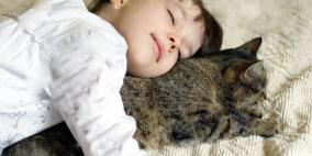 "صائد الفئران" طفيل ينتقل من القطط للإنسان ويسبب الفصام