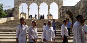 مستوطنون يجددون اقتحامهم للأقصى