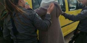 الاحتلال يعتقل فتاة على مدخل مدينة قلقيلية