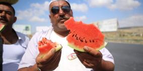 أبو حلوم ... بائع بطيخ محترف