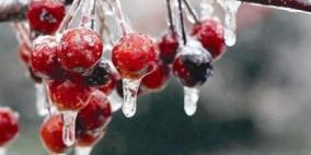 أجواء شديدة البرودة والارصاد تحذر