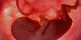 المهدئات والمسكنات تسبب اضطرابات حركة الجنين