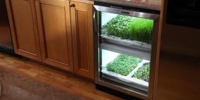 جهاز جديد في أبوظبي لزراعة الخضار والفواكه الطازجة في المنازل