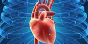 اكتشاف علاقة جينية بين التوتر والسكتة القلبية