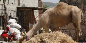 نظم المكتب الصحفي في وزارة الاعلام اليوم جولة اعلامية للاعلامين والصحفيين في محافظتي سلفيت ونابلس