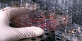 علماء روس يبنون مفاعلات حيوية تساعد في إنماء الأنسجة البشرية