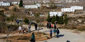 حشد للمستوطنين في "عامونا" مع اقتراب اخلائها بالقوة