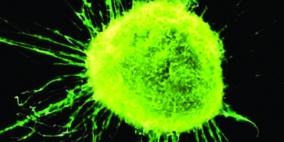 علاج مناعي للسرطان يدشن حقبة جديدة