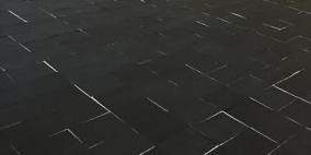 الناصرة تدخل إلى موسوعة جينيس وتحطم رقم قياسي عالمي