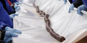 أطول نقانق في العالم بلغ طولها 175 متراً بعد طهيها