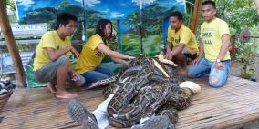 الفلبين... حديقة حيوانات تعرض على زوارها تدليكا مجانيا بالثعابين