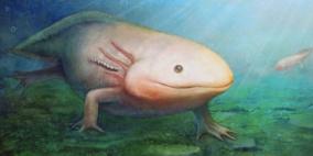 اكتشاف حفرية ليرقة حشرة ديناصوريه عمرها 165 مليون عام