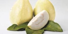 الجوافة منجم لفيتامين "سي"