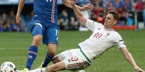 فيديو: الاعلان عن الهدف الافضل في "يورو 2016"