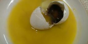 الشرطة تقبض على تاجر يسوّق بيضا فاسدا شمال غرب رام الله