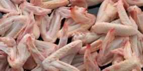 اتلاف 750 كيلو دجاج فاسد في طوباس